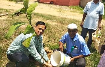 ବ୍ରାହ୍ମଣ ମହାସଭା ପକ୍ଷରୁ ବୃକ୍ଷରୋପଣ କାର୍ଯ୍ୟକ୍ରମ