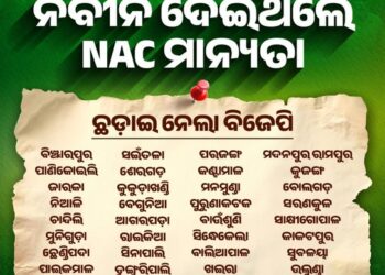 ନବୀନ ଦେଇଥିଲେ, ବିଜେପି ଛଡ଼ାଇ ନେଲା NAC ମାନ୍ୟତା