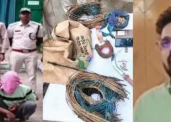 ଗଜପତି ବନ ବିଭାଗକୁ ମିଳିଲା ବଡ଼ ଧରଣର ସଫଳତା…. ବିରଳ କଲରାପତରିଆ ବାଘକୁ ଶିକାର କରି ବାଘ ମାଂସ ଖାଇଥିବା ବାପା, ପୁଅ ଓ ପୁତୁରା ଗିରଫ