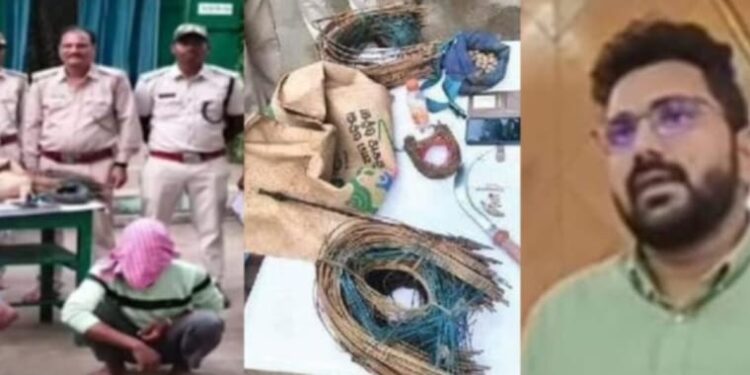 ଗଜପତି ବନ ବିଭାଗକୁ ମିଳିଲା ବଡ଼ ଧରଣର ସଫଳତା…. ବିରଳ କଲରାପତରିଆ ବାଘକୁ ଶିକାର କରି ବାଘ ମାଂସ ଖାଇଥିବା ବାପା, ପୁଅ ଓ ପୁତୁରା ଗିରଫ