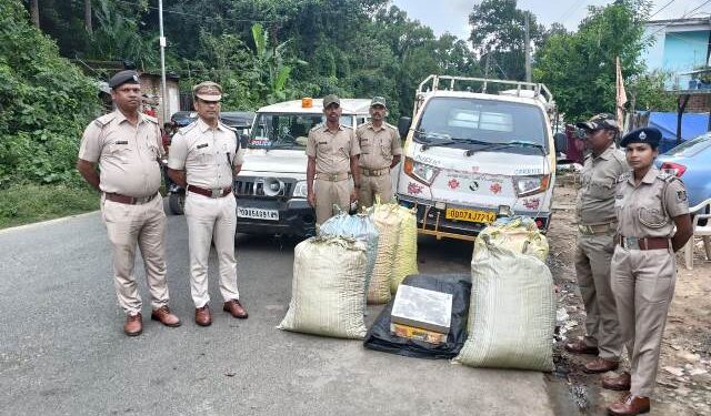 କୁଣ୍ଡା ବସ୍ତା ଭିତରେ ନେଉଥିଲେ ଗଞ୍ଜେଇ, ମାଡିବସିଲା ମୋହନା ପୋଲିସ