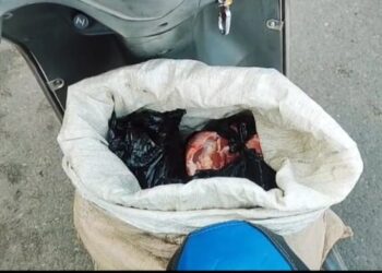 ଗୋ ମାଂସ ଜବତ ଜଣେ ଅଟକ ବ୍ୟକ୍ତିଙ୍କୁ ପୋଲିସ ଛାଡିଲା