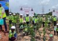 AM/NS India organises massive plantation drive across Odisha locations for Ek Ped Maa ke Naam 2.0