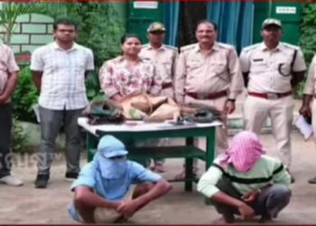 ବାଘ ଛାଲ ଜବତ ଘଟଣା : ୨ ଶିକାରୀଙ୍କୁ ବାନ୍ଧିଲା ବନ ବିଭାଗ  – ୨ ବାଘ ଦାନ୍ତ ଜବତ