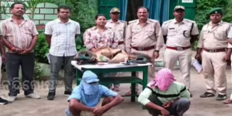 ବାଘ ଛାଲ ଜବତ ଘଟଣା : ୨ ଶିକାରୀଙ୍କୁ ବାନ୍ଧିଲା ବନ ବିଭାଗ  – ୨ ବାଘ ଦାନ୍ତ ଜବତ