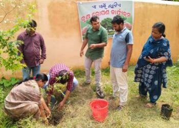 ନୟାଗଡ ବ୍ଲକ ଇଟାମାଟି ପଞ୍ଚାୟତ : ମା ପାଇଁ ଗଛ ଟିଏ