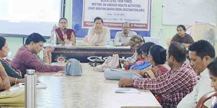 ସ୍ଵାସ୍ଥ୍ୟ ସେବା ସମ୍ପର୍କିତ ଟାସ୍କଫୋର୍ସ ବୈଠକ