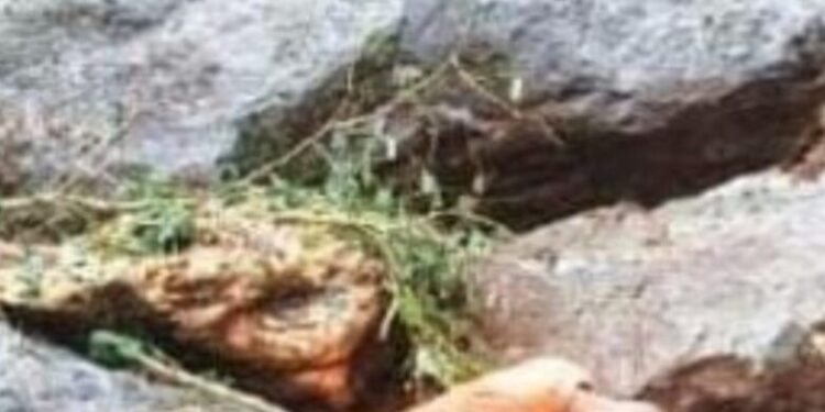 ଆଶ୍ରୟ ନେଇଥିବା ପଥର ହିଁ ଜୀବନ ନେଇଗଲା : ଚାପି ହୋଇ ଜଣେ ମୃତ