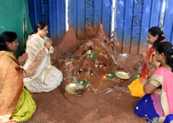 ପବିତ୍ର ନାଗ ଚତୁର୍ଥୀରେ ନାଗ ଦେବତାଙ୍କୁ ପୂଜା ଅର୍ଚ୍ଚନା