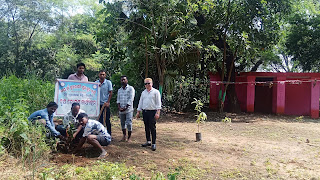 ଦାବ୍ରି ଗ୍ରାମରେ ଜୟ ମାଁ ଦ୍ୱାରଶନି ୟୁଥ୍ କ୍ଳବ୍ ର ସଦସ୍ୟ ମାନଙ୍କ ଦ୍ଵାରା ବୃକ୍ଷ ରୋପଣ କାର୍ଯ୍ୟକ୍ରମ ଅନୁଷ୍ଠିତ