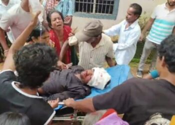 ଚାଷ ଜମିକୁ ଯିବାବେଳେ ଅଘଟଣ : ଶୁଖିଲା ଗଛ ପଡ଼ି ଗଜପତିରେ ଯୁବ ଚାଷୀଙ୍କ ମୃତ୍ୟୁ