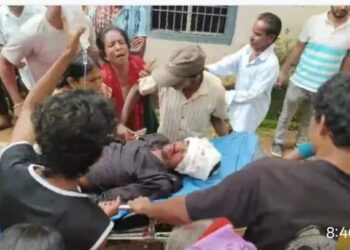 ବିଲକୁ ଯାଉଥିବା ବେଳେ ଶୁଖିଲା ଗଛର ଗଣ୍ଡି ପଡି ଯୁବକ ମୃତ