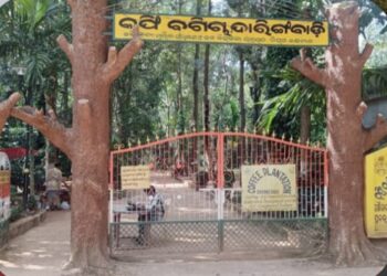 ଓଡିଶାର କାଶ୍ମୀର ଦାରିଙ୍ଗବାଡ଼ିରେ ନଭେମ୍ବର ୧୫ ରୁ ଖୋଲିବ ଇକୋ ରିଟ୍ରିଟ୍‌ : ପର୍ଯ୍ୟଟକଙ୍କ ଭିଡ଼ ଆରମ୍ଭ