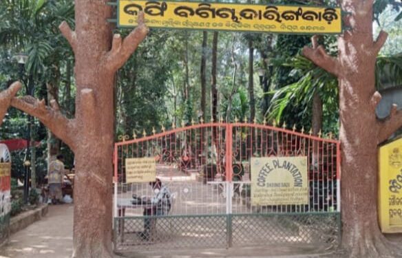 ଓଡିଶାର କାଶ୍ମୀର ଦାରିଙ୍ଗବାଡ଼ିରେ ନଭେମ୍ବର ୧୫ ରୁ ଖୋଲିବ ଇକୋ ରିଟ୍ରିଟ୍‌ : ପର୍ଯ୍ୟଟକଙ୍କ ଭିଡ଼ ଆରମ୍ଭ