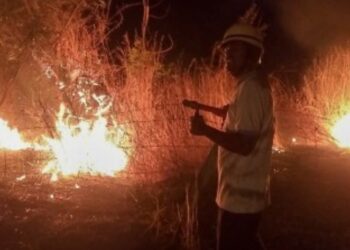  Pune, Fire broke out at 68 places in Pune during Diwali; Fortunately, no casualties; Read in detail