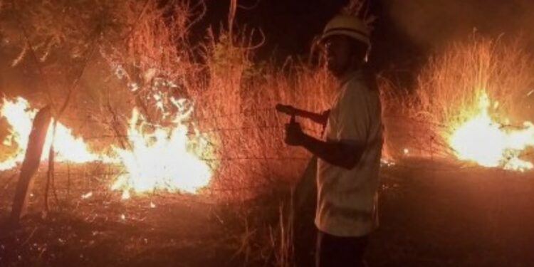  Pune, Fire broke out at 68 places in Pune during Diwali; Fortunately, no casualties; Read in detail