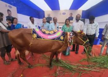 ଓମଫେଡ ପ୍ରଶିକ୍ଷଣ କେନ୍ଦ୍ରରେ ଦୁଗ୍ଧ ଦିବସ ପାଳିତ : ୨୦ଟି ଗାଈ ଚାଷୀଙ୍କୁ ଦିଆଗଲା