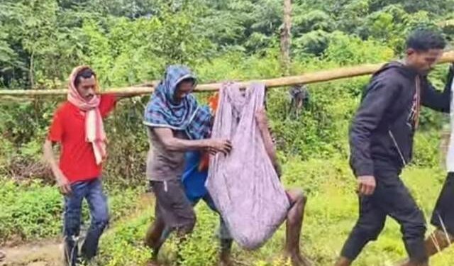 ସ୍ୱାଧୀନତାର ୭୮ ବର୍ଷ ପରେ ସୁଦ୍ଧା ଗଜପତିରେ ପାଦ ଚଲା ପାଇଁ ରାସ୍ତା ନାହିଁ : ରୋଗୀ କୁ ଦୋଳାରେ ବହି ନେଉଛନ୍ତି