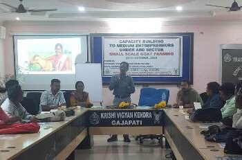 ଛେଳି ପାଳନ ସମ୍ବଧୀୟ ଦକ୍ଷତା ବୃଦ୍ଧି ତାଲିମ କାର୍ଯ୍ୟକ୍ରମ