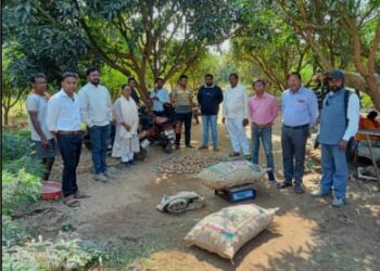 ଉଦ୍ୟାନ ବିଭାଗ ପକ୍ଷରୁ ଆଳୁ ଚାଷ ନିମନ୍ତେ ଚାରା ବଣ୍ଟନ