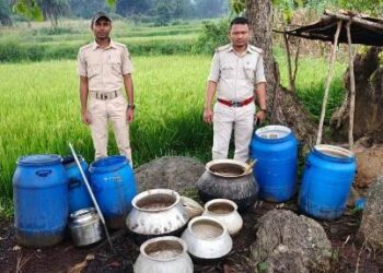 ଗଜପତି ପୋଲିସ ଓ ଅବକାରୀ ବିଭାଗର ମିଳିତ ଚଢ଼ାଉରେ ବ୍ୟାପକ ପୋଚ ଓ ଦେଶୀ ମଦ ଜବତ