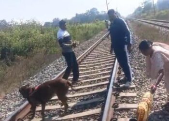 ଦାଦନ ଶ୍ରମିକଙ୍କ ରେଲ ଧାରଣାରୁ ମୃତ ଦେହ ଉଦ୍ଧାର ହତ୍ୟା ଘଟଣା ; ସାଇଣ୍ଟିଫିକ୍ ଟିମ୍ ଓ ସନ୍ଧାନୀ କୁକୁର ସହ ଜିଆରପିର ତଦନ୍ତ