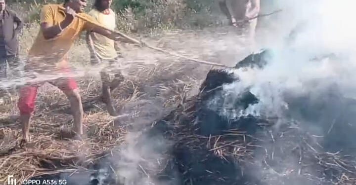 ଧାନଖଳା ରେ ନିଆଁ ଲାଗି ଚାରି ଏକର ଧାନ ନଷ୍ଟ