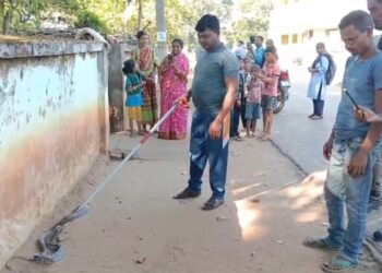 ବନ ବିଭାଗ କଲୋନୀ ପରିସରରୁ ସାପ ଉଦ୍ଧାର