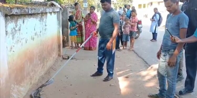 ବନ ବିଭାଗ କଲୋନୀ ପରିସରରୁ ସାପ ଉଦ୍ଧାର