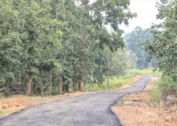 ଯନ୍ତ୍ରୀ ଓ ଠିକାଦାରଙ୍କ ମଧୁଚନ୍ଦ୍ରିକା : ରାସ୍ତା ନିର୍ମାଣର ମାସକ ମଧ୍ୟରେ ଉଠିଲା ପିଚୁ