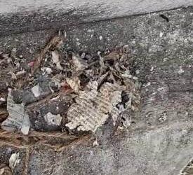 ସତ୍ୟବାଦୀ ରେ ସିରିଜ ବୋମା ମାଡ଼ କରି କହିଲେ ହାପି ଦିବାଲି