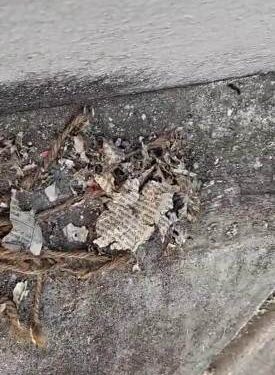 ସତ୍ୟବାଦୀ ରେ ସିରିଜ ବୋମା ମାଡ଼ କରି କହିଲେ ହାପି ଦିବାଲି