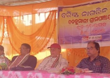 ରାଜସୁନାଖଳାରେ ବରିଷ୍ଠ ନାଗରିକ ସଙ୍ଘ କର୍ମଶାଳା