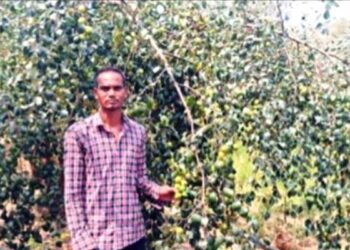 ବରକୋଳି ଚାଷକରି ଲକ୍ଷପତି ଚାଷୀ – ଦୂରହେବ ଦାଦନ ସମସ୍ୟା