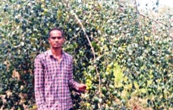 ବରକୋଳି ଚାଷକରି ଲକ୍ଷପତି ଚାଷୀ – ଦୂରହେବ ଦାଦନ ସମସ୍ୟା