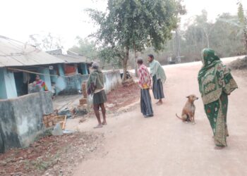 ବେଗୁନିଆ ଅଞ୍ଚଳରେ ହାତୀ ଉପଦ୍ରବ।ଲୋକେ ଭୟଭୀତ