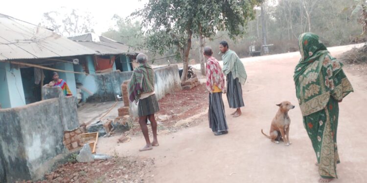 ବେଗୁନିଆ ଅଞ୍ଚଳରେ ହାତୀ ଉପଦ୍ରବ।ଲୋକେ ଭୟଭୀତ