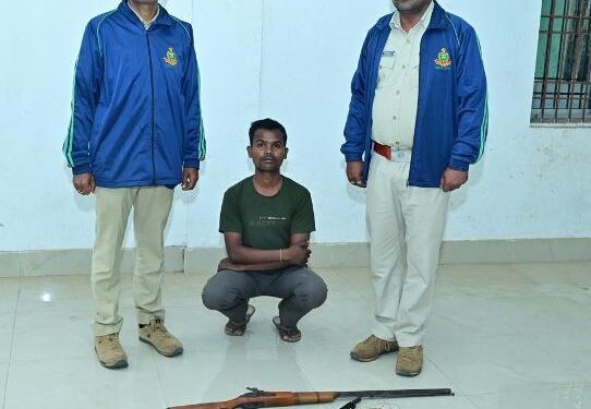 ବେଲଘର ହାତୀ ମୃତ୍ୟୁ ଘଟଣାରେ ଡ୍ରାଇଭର ଓ ଶିକାରୀ ଗିରଫ