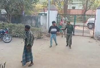 ସଂରକ୍ଷିତ ଜଙ୍ଗଲରୁ ମୁଲ୍ୟବାନ ଗଛ କାଟିବା ଅଭିଯୋଗରେ ୩ ଗିରଫ