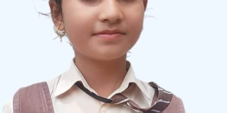 ବୃତ୍ତି ପରୀକ୍ଷାରେ ପାଟ୍ଟଖଣ୍ଡା ପବ୍ଲିକ ସ୍କୁଲର କୃତିତ୍ୱ