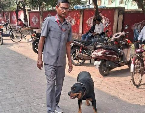 ପୁରୀ କୋର୍ଟକୁ ବୋମା ପକାଇ ଉଡାଇ ଦେବାକୁ ଧମକ ପୋଲିସ ଯାଞ୍ଚ ପରେ କୋର୍ଟ କାର୍ଯ୍ଯ ସ୍ବାଭାବିକ