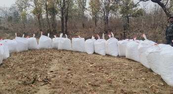 ଗଜପତି ଜିଲ୍ଲା ପୋଲିସ ଅଡବା ଥାନା ଅନ୍ତର୍ଗତ ରାଜପୁର ଏବଂ ମୋହନାଗୁଡ଼ି ଗ୍ରାମରେ ଚଢ଼ାଉ କରି ମୋଟ 725 କିଲୋଗ୍ରାମ ଗଞ୍ଜେଇ ଜବତ