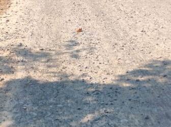 ମୋହନ ସରକାର ରେ ୧୮ କୋଟି ଟଙ୍କା ଚଳୁ : ଠିକାଦାର ଓ ଯନ୍ତ୍ରୀ ଙ୍କ ମଧୁଚନ୍ଦ୍ରିକା – ପ୍ରଶାସନ ଆଖି ଥାଇ ଅନ୍ଧ