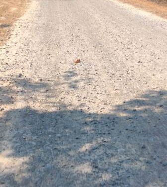 ମୋହନ ସରକାର ରେ ୧୮ କୋଟି ଟଙ୍କା ଚଳୁ : ଠିକାଦାର ଓ ଯନ୍ତ୍ରୀ ଙ୍କ ମଧୁଚନ୍ଦ୍ରିକା – ପ୍ରଶାସନ ଆଖି ଥାଇ ଅନ୍ଧ