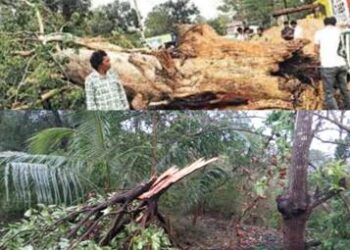 ଗଜପତିରେ କାଳବୈଶାଖୀର ତାଣ୍ଡବ, ଚନ୍ଦ୍ରଗିରି ଓ ଗୋଷାଣୀ ବ୍ଲକରେ ବ୍ୟାପକ କ୍ଷୟକ୍ଷତି