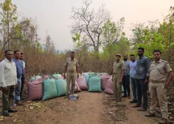 ପୋଲିସ ପାଟ୍ରୋଲିଂ ବେଳେ ଜଙ୍ଗଲ ଅଞ୍ଚଳରେ ଗଛିତ ଥିବା ୪୦୫୬ କେଜି ବେଆଇନ ଗଞ୍ଜେଇ ଜବତ