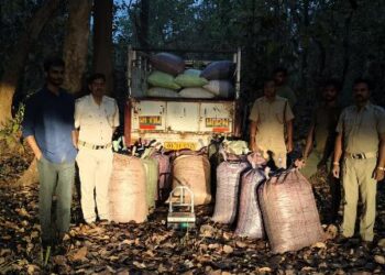 ୭୦୦ କେଜି ଗଞ୍ଜେଇ ସହ ପିକ୍ଅପ୍ ଭ୍ୟାନ୍ ଜବତ