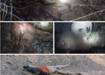 ଦନ୍ତା ହାତୀ ହାବୁଡ଼ରେ ପଡି ୩ ଯୁବକ ଙ୍କ ମୃତ୍ୟୁ : ୫୦ ଲକ୍ଷ ଟଙ୍କା ଲେଖାଏଁ ସହାୟତା ରାଶି ପ୍ରଦାନ ପାଇଁ ଦାବୀ