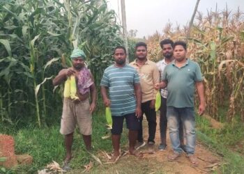 ମୟୂରଝାଲିଆ ଗ୍ରାମର ସଫଳ ଯୁବଚାଷୀ ବେଲେଶ୍ୱର କଳସ