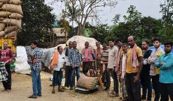 ଡମସାହି ସେବା ସମବାୟ ସମିତି ତରଫରୁ ଧାନମଣ୍ଡି ଉଦଘାଟିତ 